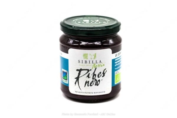 Composta ribes nero bio 320g